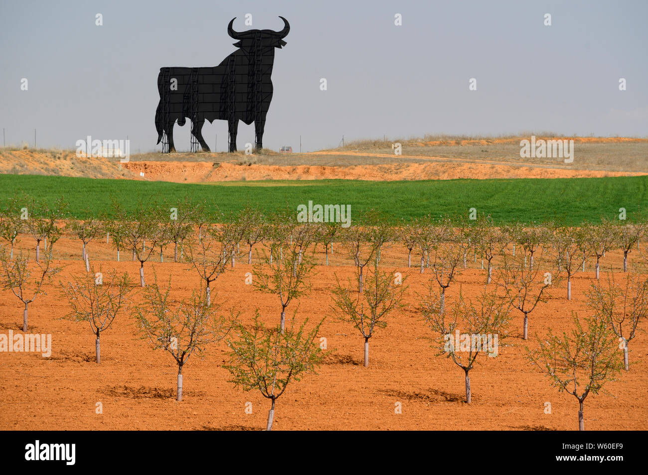 Europa, auf der Iberischen Halbinsel, Spanien, Kastilien-La Mancha, Spanien, Toledo, Osborne Stier Reklametafeln Stockfoto