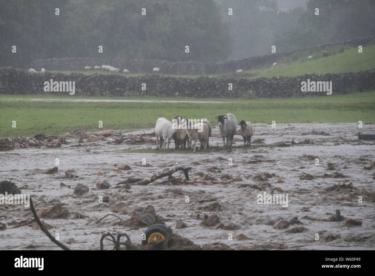 Holme Farm, Arkengarthdale, North Yorkshire UK. 30. Juli 2019. UK Wetter. Szenen der Verwüstung, wie die sintflutartigen Regenfälle verursacht überschwemmung, die durch Holme Farm in Arkengarthdale zerstörende Gebäude gefegt und kehren einige Tiere entfernt. In der Nähe einer Brücke Swaledale auch zusammengebrochen. Quelle: David Forster/Alamy leben Nachrichten Stockfoto