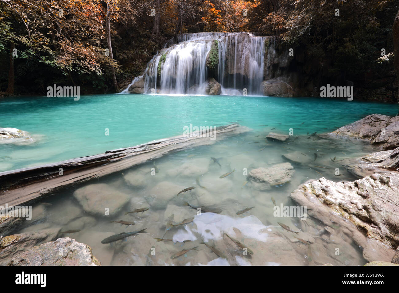 Schönen Wasserfall in Thailand mit Fisch Stockfoto