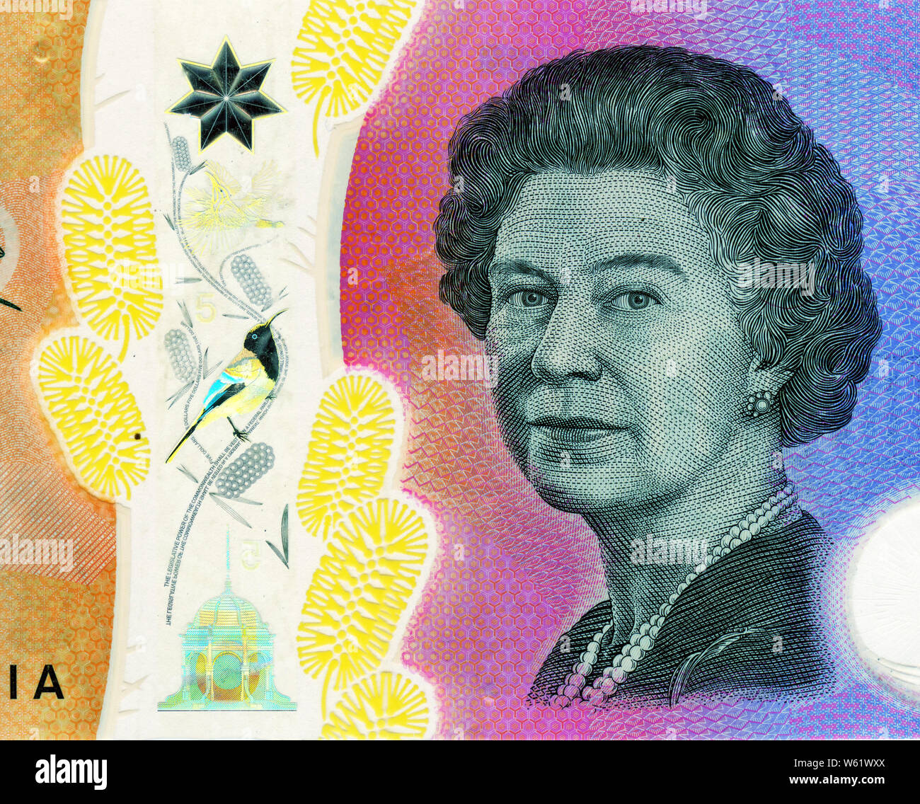 Portrait von Königin Elizabeth II., die auf den fünf Dollar Australian Bank Note. Stockfoto