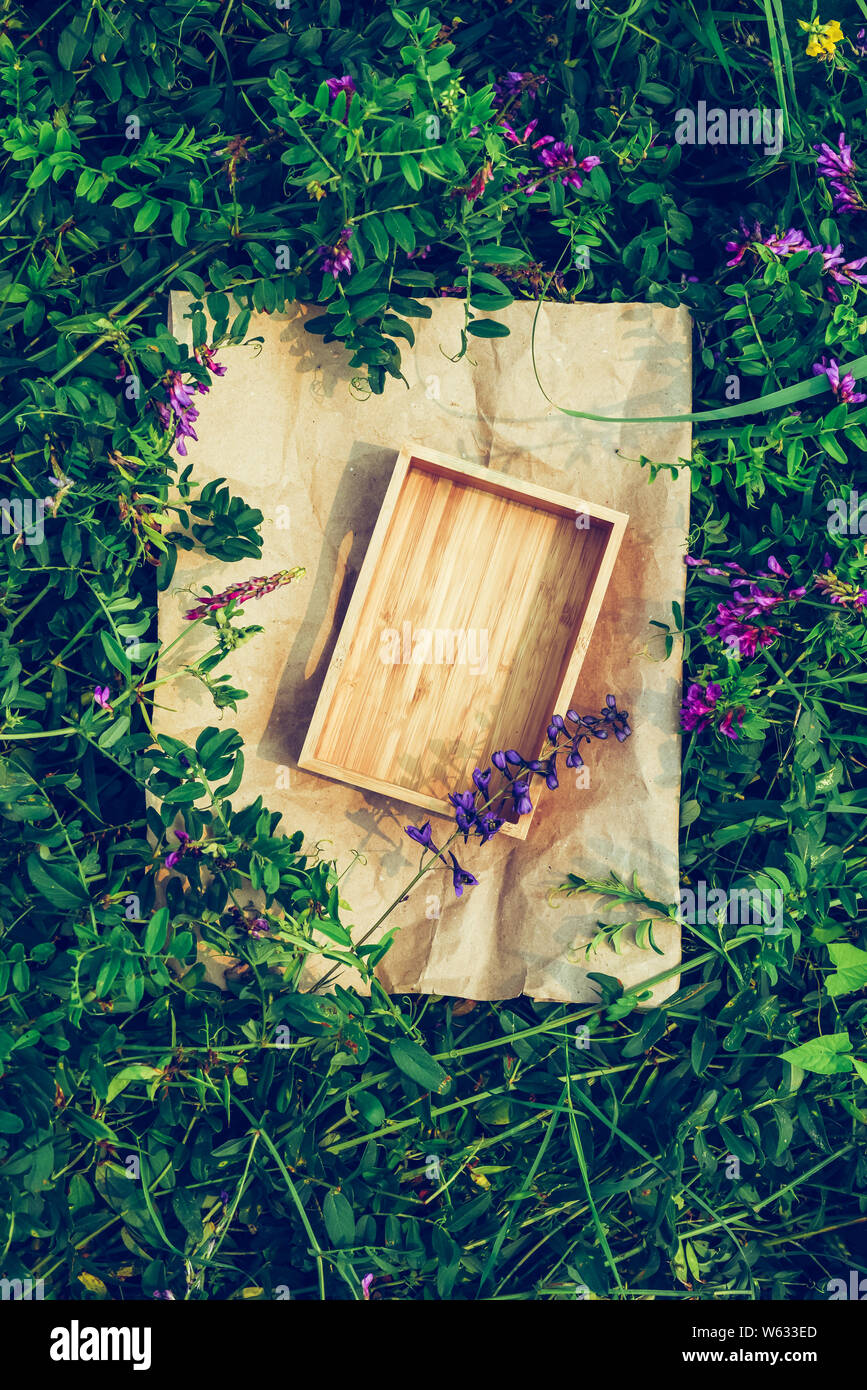 Pflanzen Hintergrund, Rahmen aus Kraftpapier und Konzept der Naturkosmetik Stockfoto