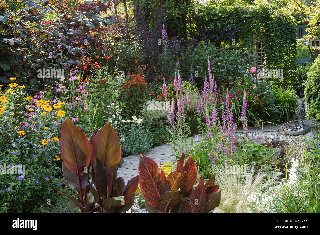 Gemischte Blume Grenze mit Gartenteich, in einem englischen Vorort Garten. Stockfoto