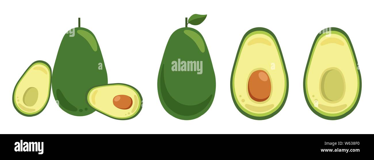 Der Vektor Elemente auf weißem Hintergrund. Ganze und halbe Avocado mit Pit Schnitt Stock Vektor
