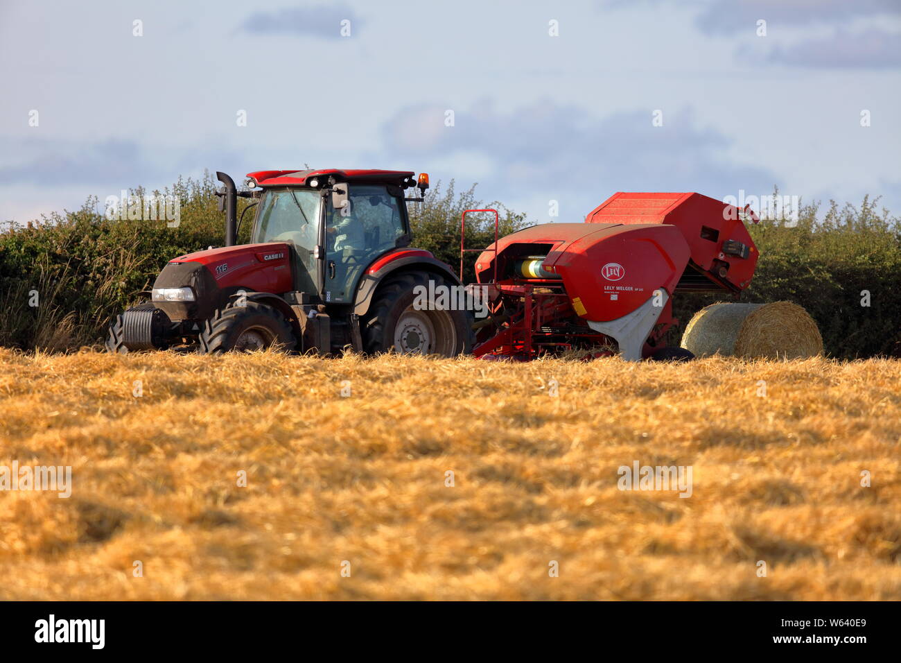 Ein modernes Stroh compactor Sammeln der Stroh- und rollt es in die riesigen Ballen bereit für den Winter füttern in Rollenform gespeichert werden. Stockfoto