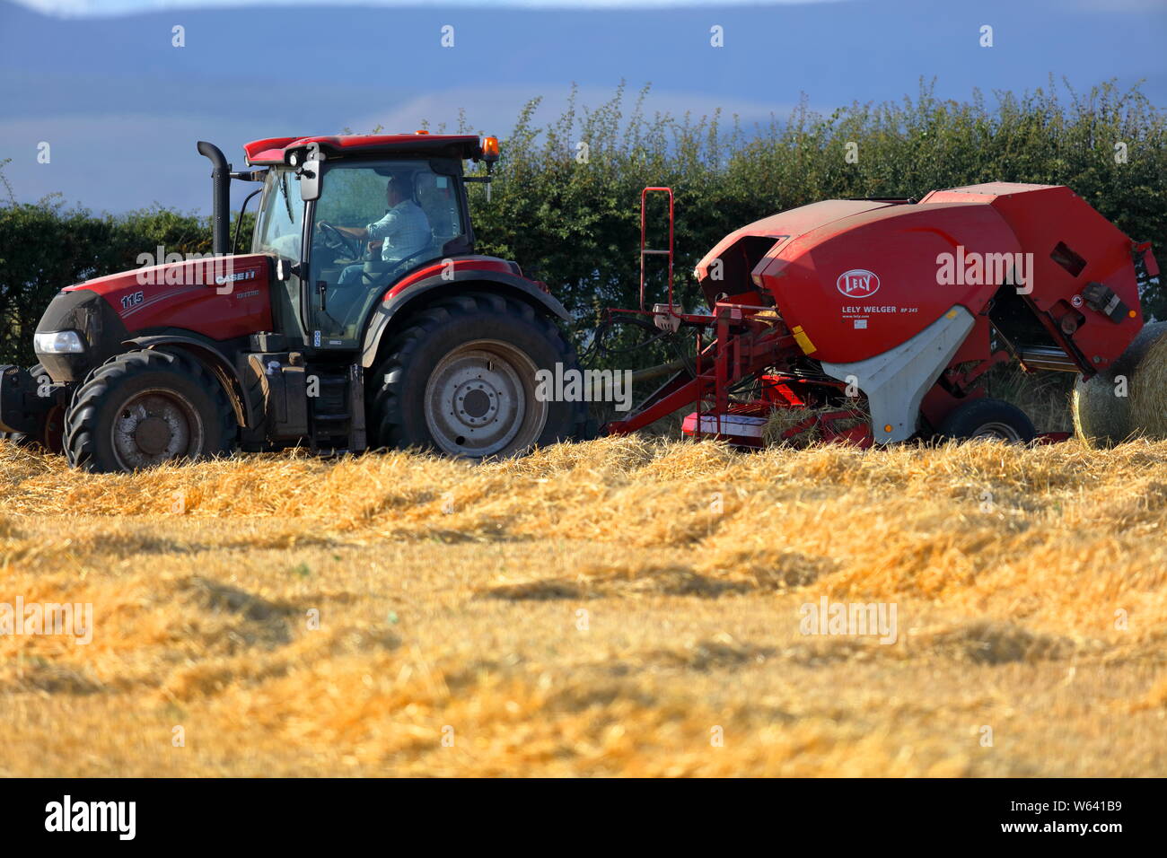 Ein modernes Stroh compactor Sammeln der Stroh- und rollt es in die riesigen Ballen bereit für den Winter füttern in Rollenform gespeichert werden. Stockfoto