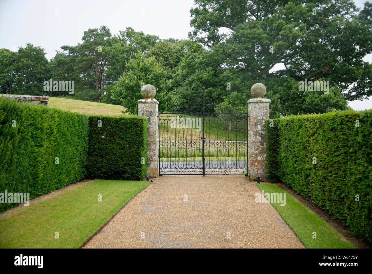 Eibe hecke -Fotos und -Bildmaterial in hoher Auflsung  Alamy