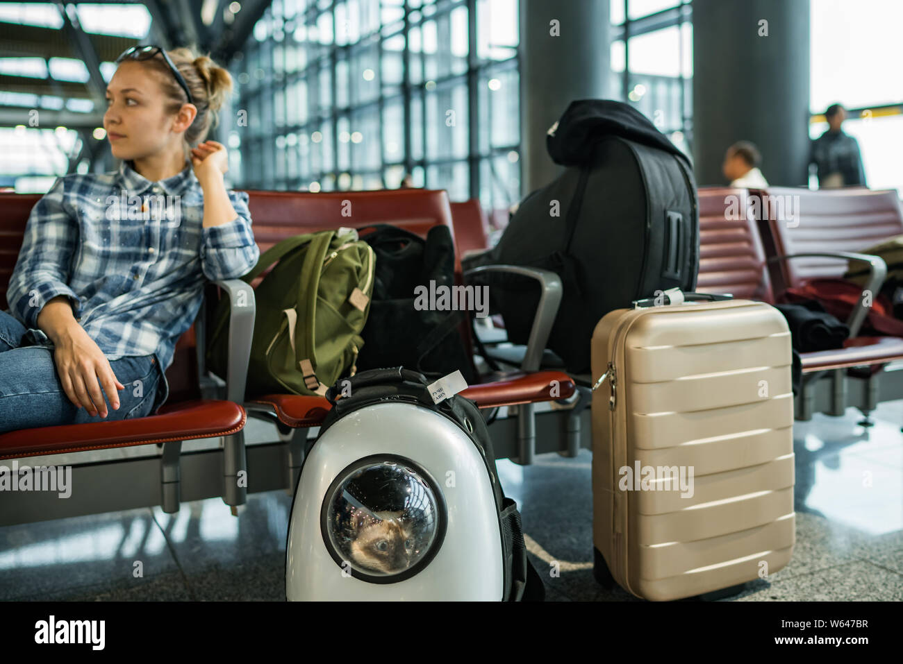 Junge Frau im Sitz sitzt am Flughafen Gate mit Gepäck und Katze in space shuttle carrier Blick aus dem Bullauge Stockfoto