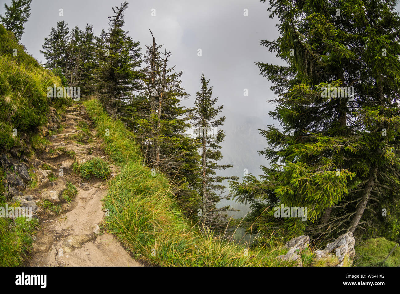 Berg weg an der mit Bäumen und Abgrund mit Nebel links Stockfoto