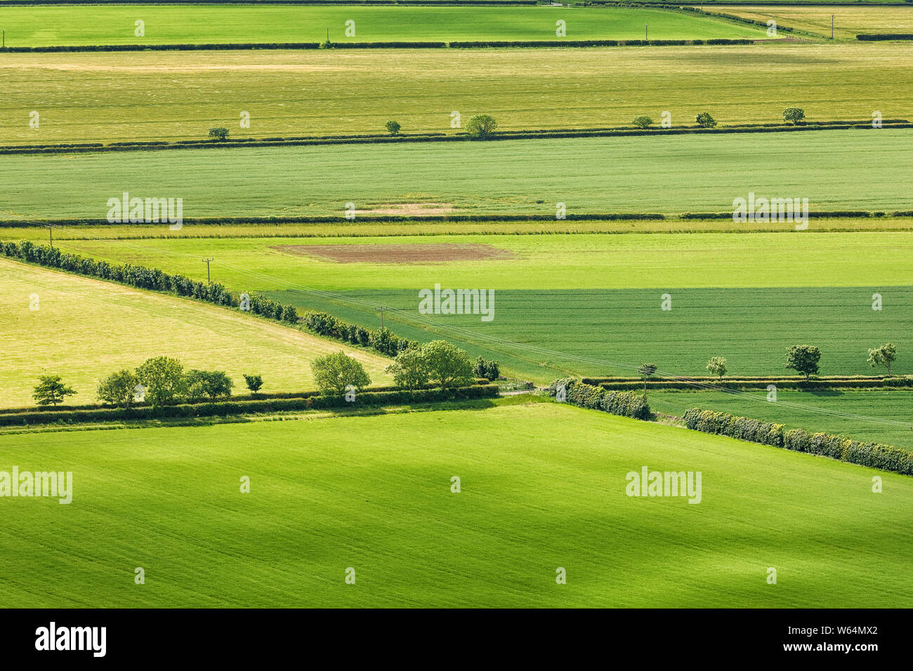 Blick auf grüne schottischen Felder von oben North Berwick Gesetz. North Berwick. East Lothian. Schottland, Vereinigtes Königreich. Luftbild Stockfoto