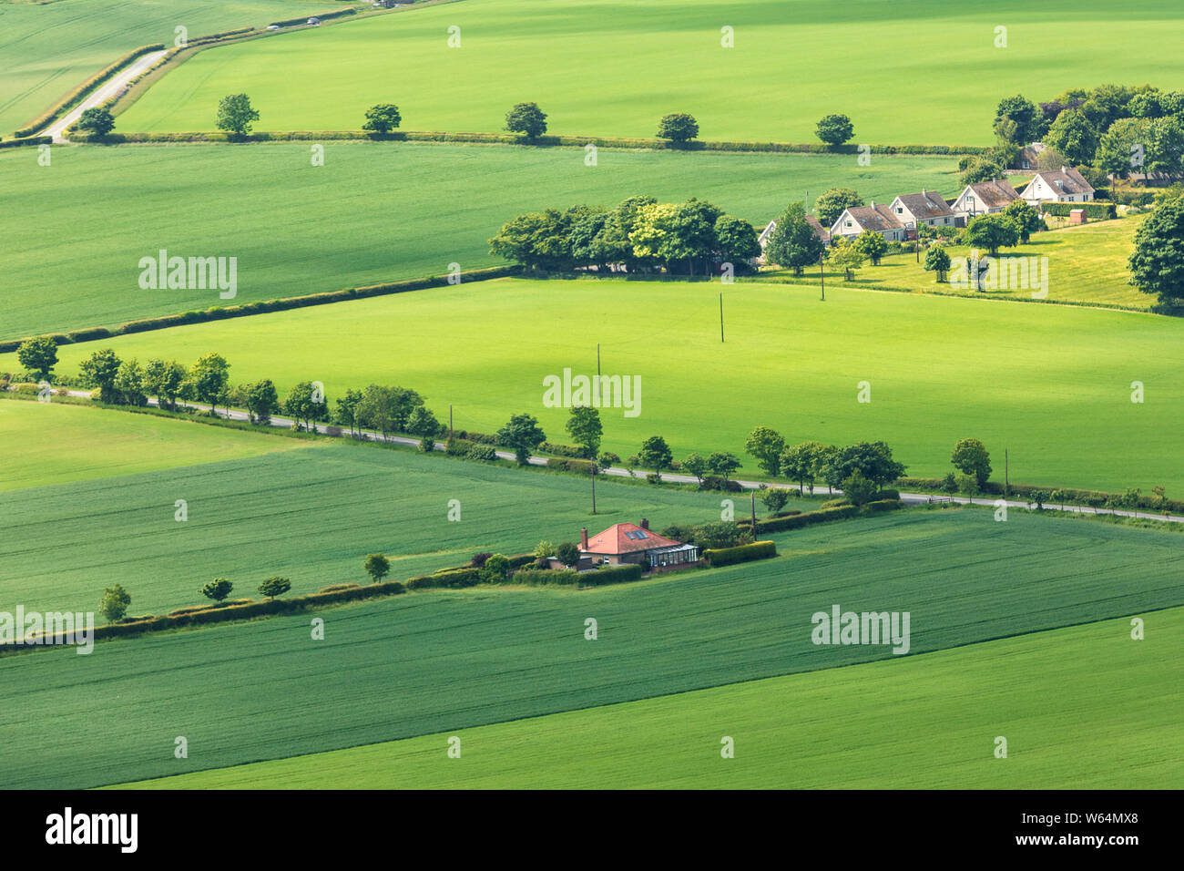 Grüne schottischen Felder und Bäume von oben North Berwick Gesetz. North Berwick. East Lothian. Schottland, Vereinigtes Königreich. Luftaufnahmen. Stockfoto