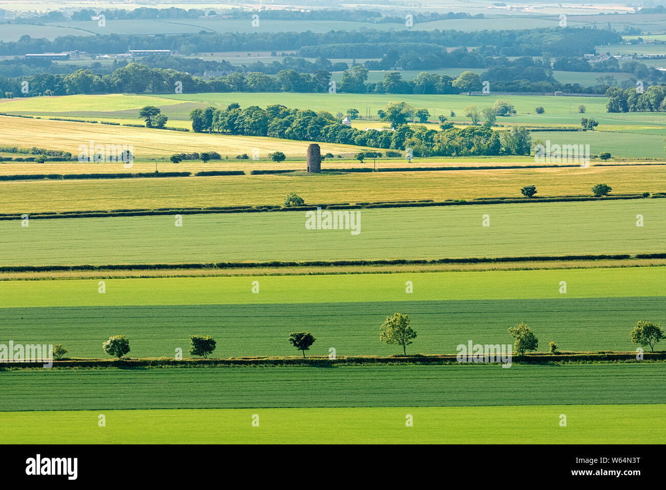 Grüne schottischen Felder und Bäume von der Oberseite des North Berwick Law Hill. North Berwick. Schottland, Vereinigtes Königreich. Natürliche Muster. Luftaufnahmen. Stockfoto