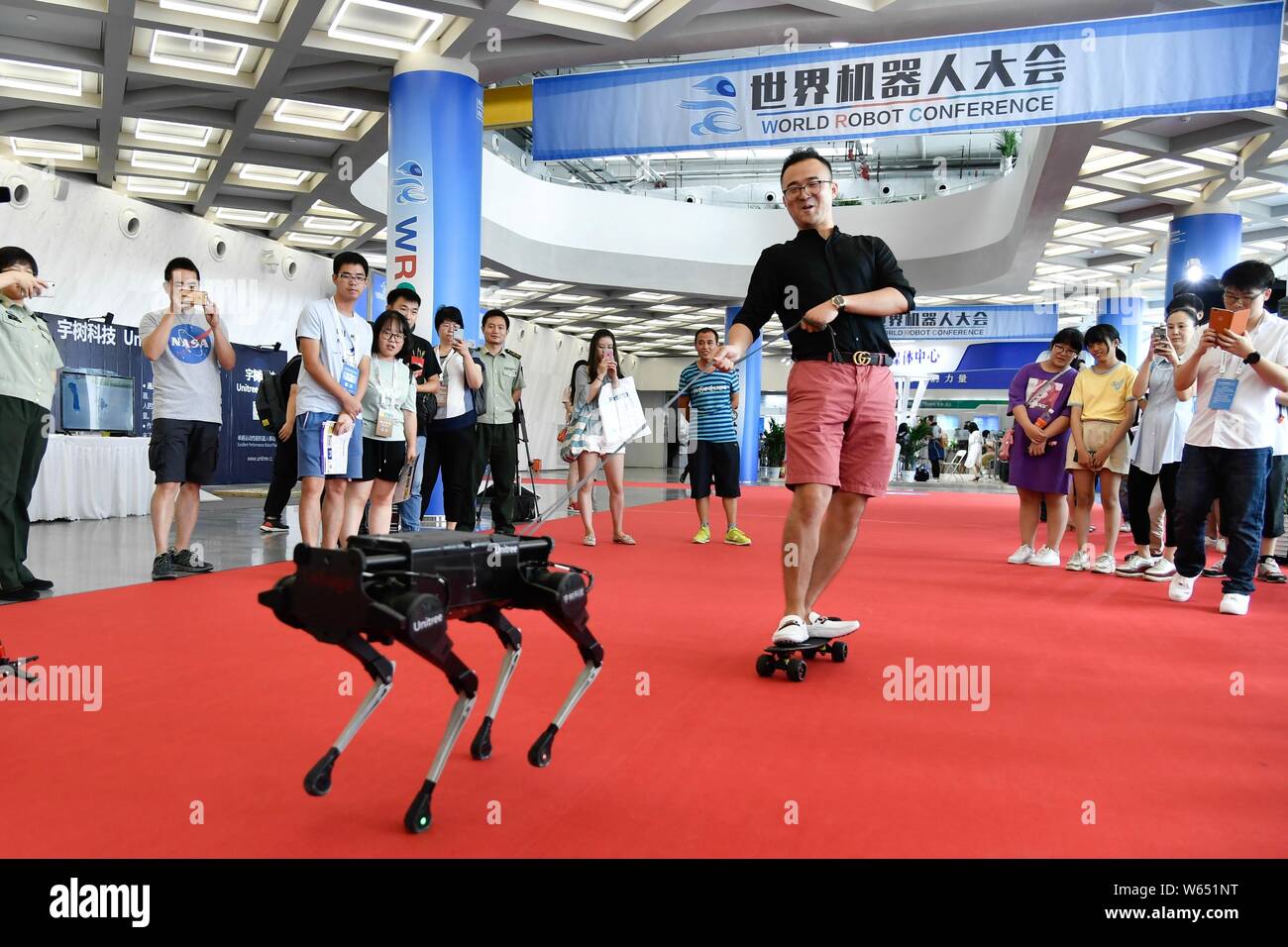 Ein Besucher stehen auf einem Skateboard "Spaziergänge" ein Roboter Hund auf dem Display während der Welt Roboter Konferenz (WRC) 2018 in Peking, China, 15. August 2018. Th Stockfoto