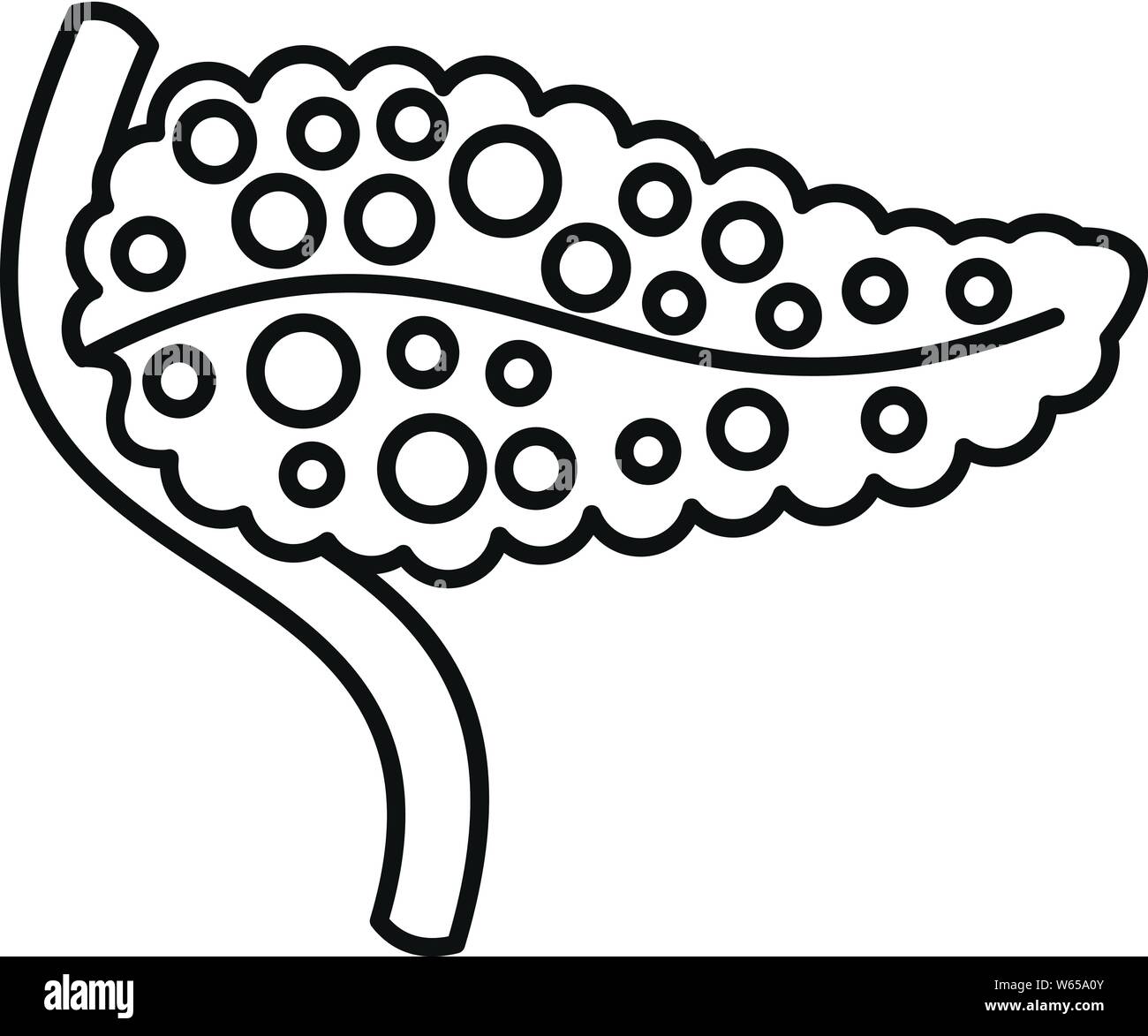 Die menschliche Bauchspeicheldrüse Symbol. Gliederung der menschlichen Bauchspeicheldrüse vektor Symbol für Web Design auf weißem Hintergrund Stock Vektor