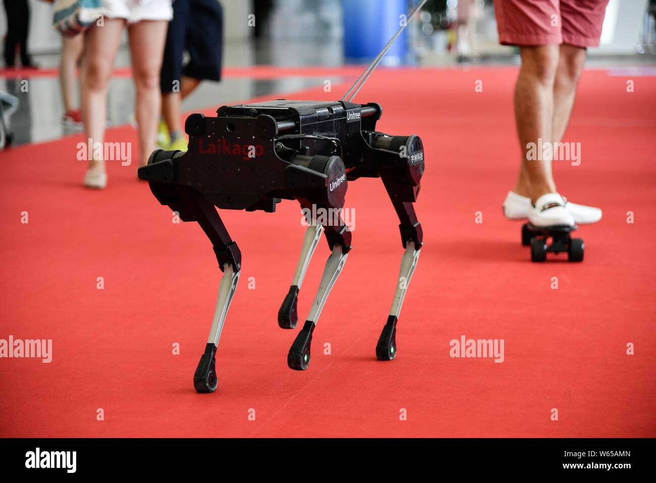 Ein Besucher stehen auf einem Skateboard "Spaziergänge" ein Roboter Hund auf dem Display während der Welt Roboter Konferenz (WRC) 2018 in Peking, China, 15. August 2018. Th Stockfoto
