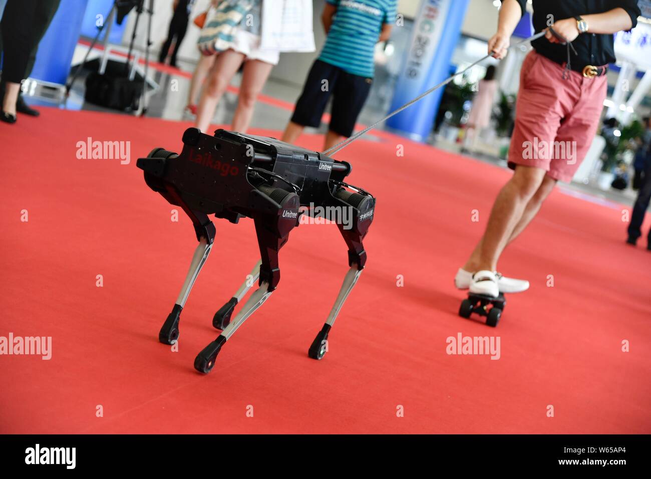 Ein Besucher stehen auf einem Skateboard "Spaziergänge" ein Roboter Hund auf dem Display während der Welt Roboter Konferenz (WRC) 2018 in Peking, China, 15. August 2018. Th Stockfoto