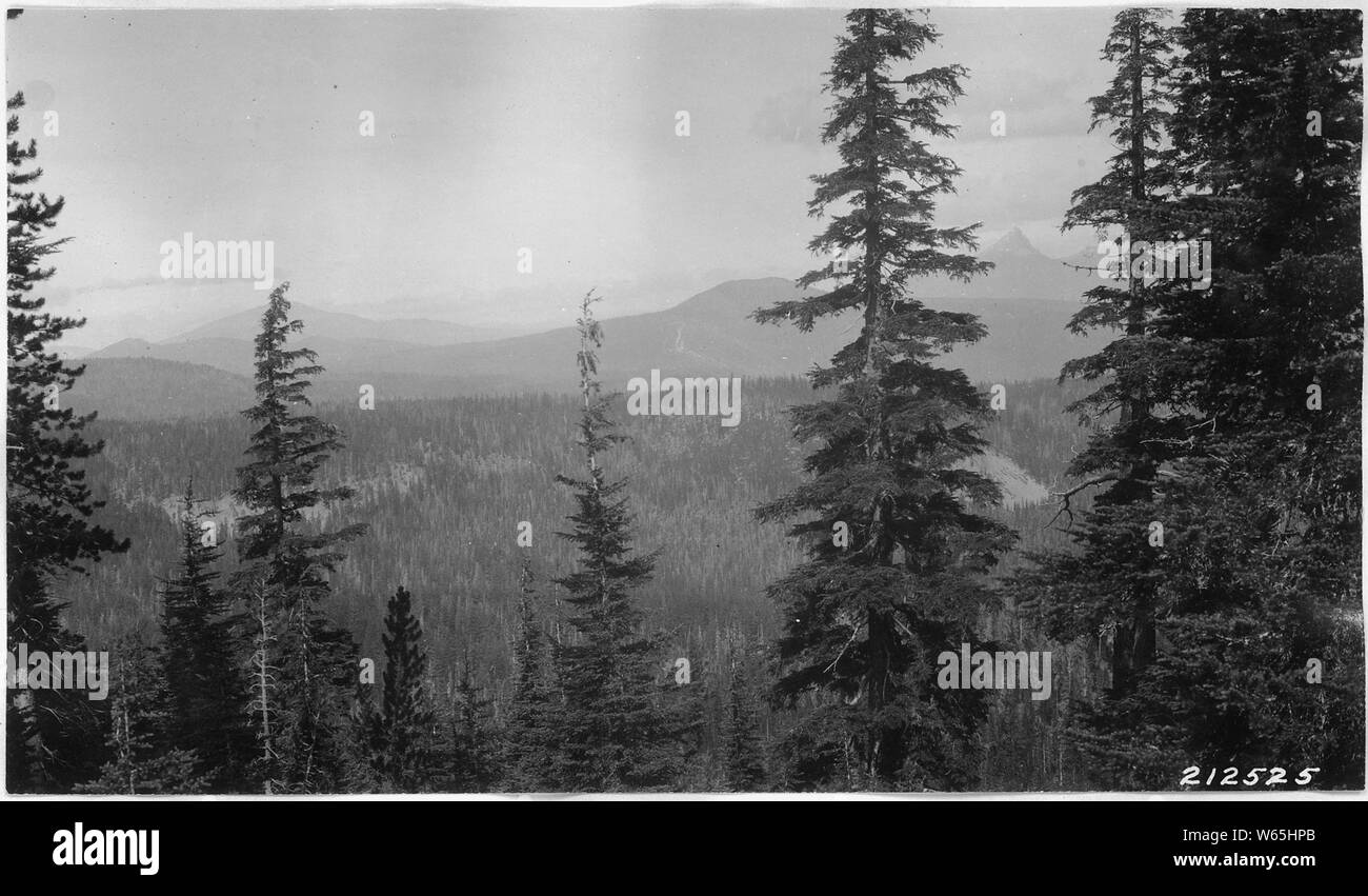 Allgemeine Ansicht der oberen Ende des Bear Creek lookin gnorth von Scott Bluffs, die Felsen mit lodgepole Pine im unteren und Tanne auf Ridge.; Umfang und Inhalt: Serie enthalten eine Reihe von Berichten über Grenzen und verschiedene Parks. Viele dieser Fotos. Stockfoto