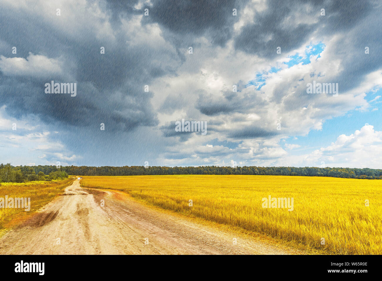 Feld mit Roggen und Straße unter der stürmischen Wolken. Stockfoto