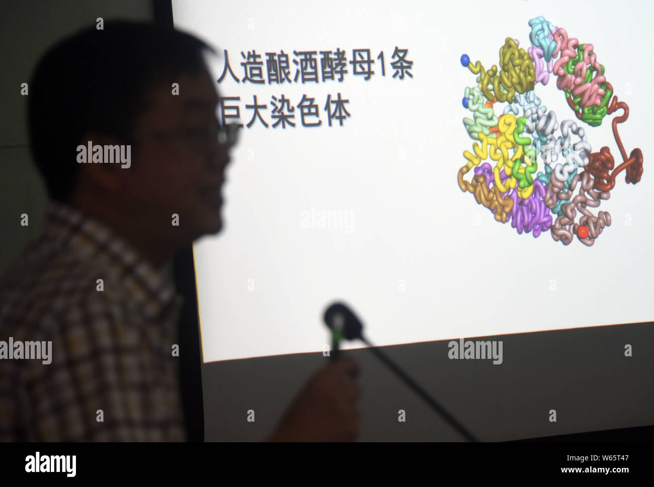 Wang Zhongjun, Molekularbiologe am Zentrum für Spitzenleistungen in der Molekularen Pflanzenwissenschaften, Shanghai Institut für Pflanzenphysiologie und Ökologie, von C Stockfoto