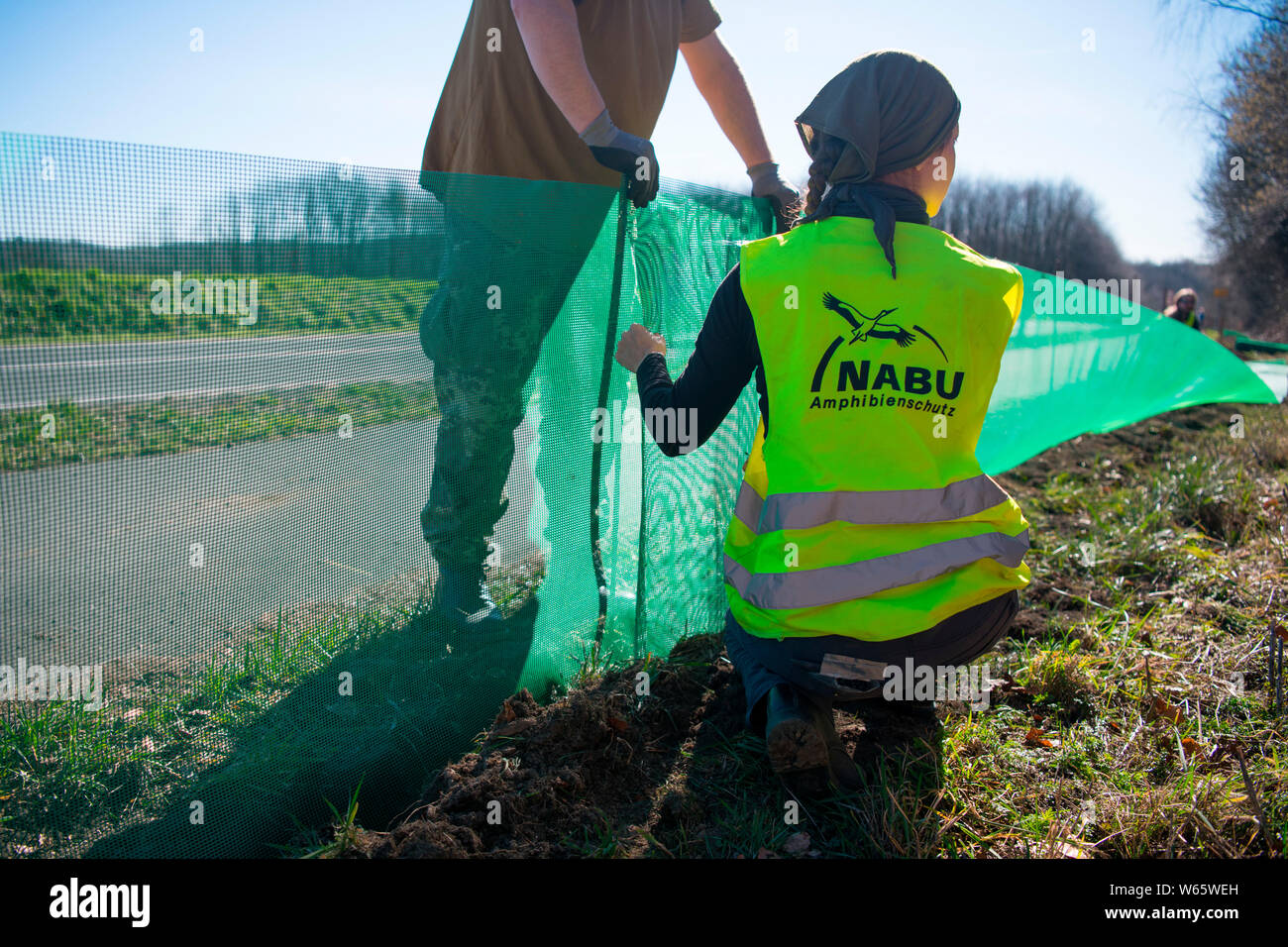 Umweltschützer sind Aufbau kröte Schutzzaun, Velbert, Nordrhein-Westfalen, Deutschland, Europa Stockfoto