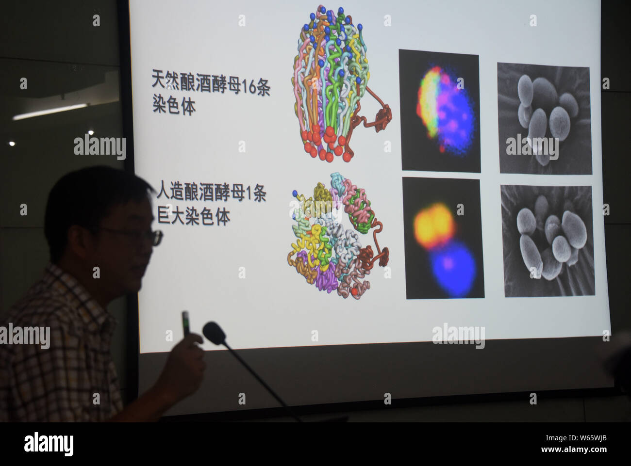 Wang Zhongjun, Molekularbiologe am Zentrum für Spitzenleistungen in der Molekularen Pflanzenwissenschaften, Shanghai Institut für Pflanzenphysiologie und Ökologie, von C Stockfoto