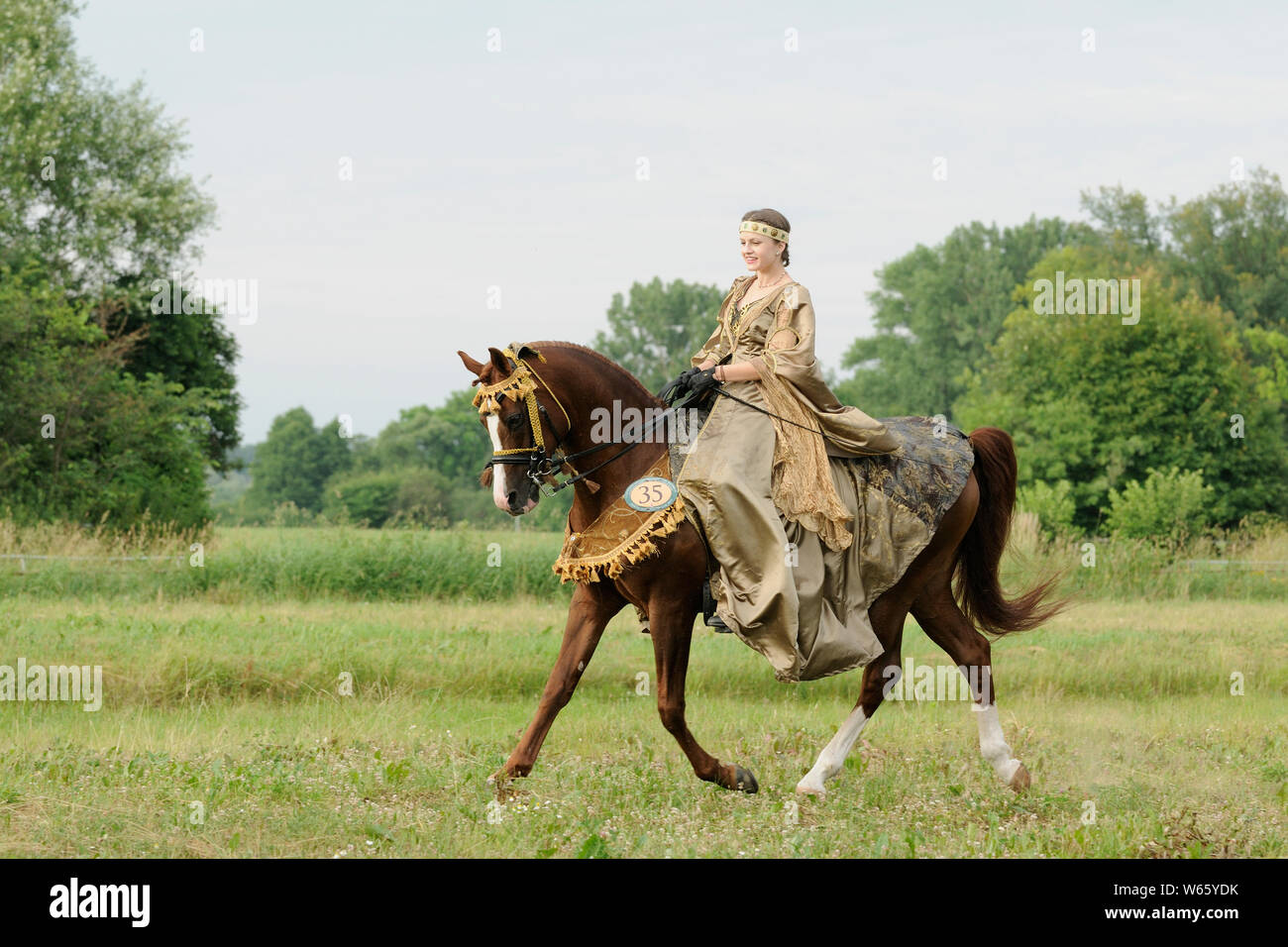 Reiterin im historischen Kleid auf troted Kastanie Arabian Horse Hengst Stockfoto