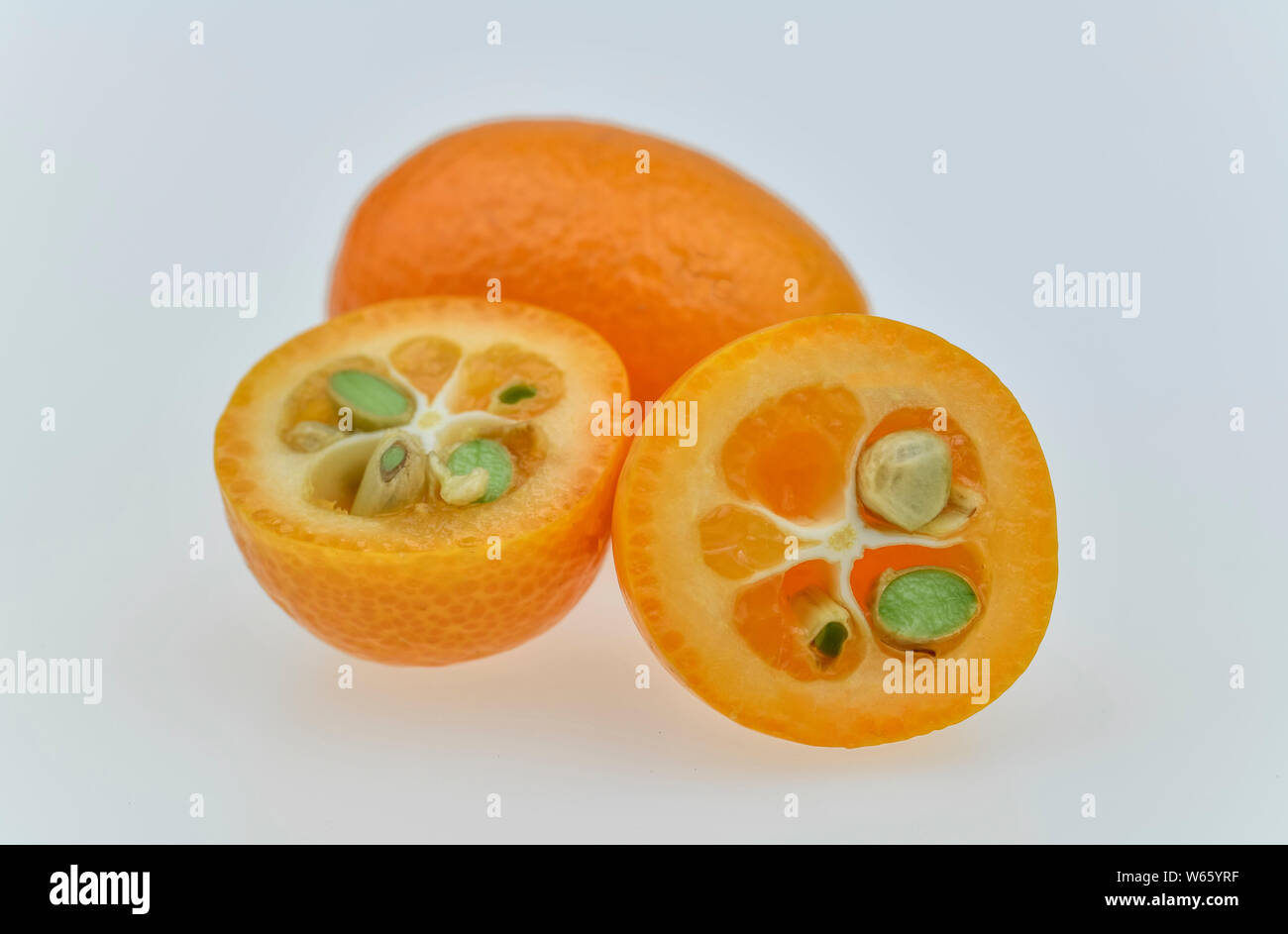 Kumquats, Fortunella Margarita Stockfoto