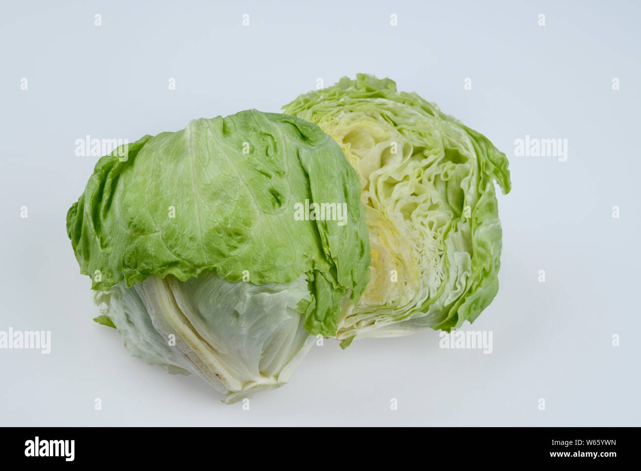 Eisbergsalat, Lactuca sativa var. capitata Stockfoto