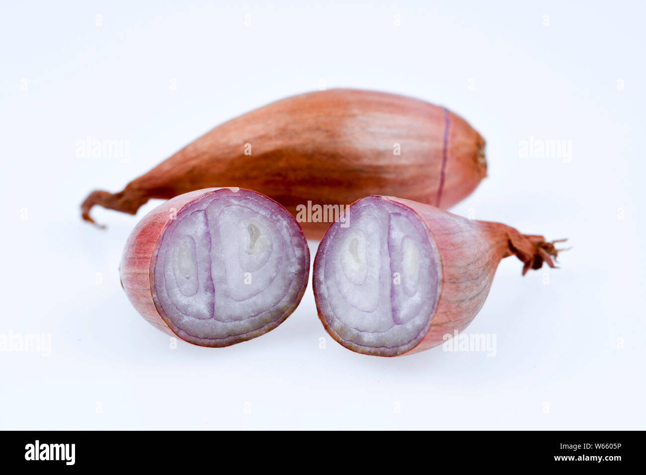 Schalotte, Allium ascalonicum Stockfoto
