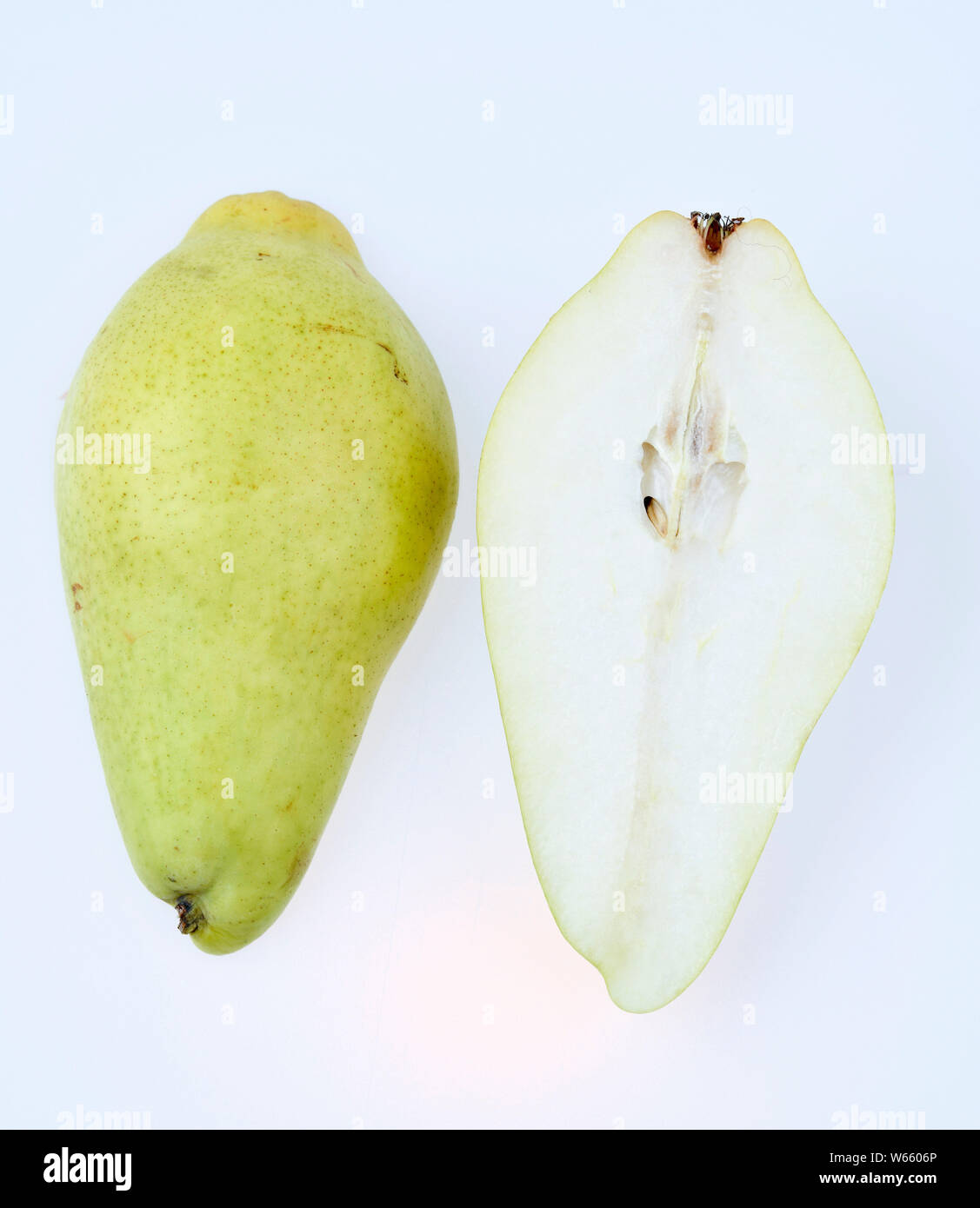 Birne, Pyrus Communis Stockfoto