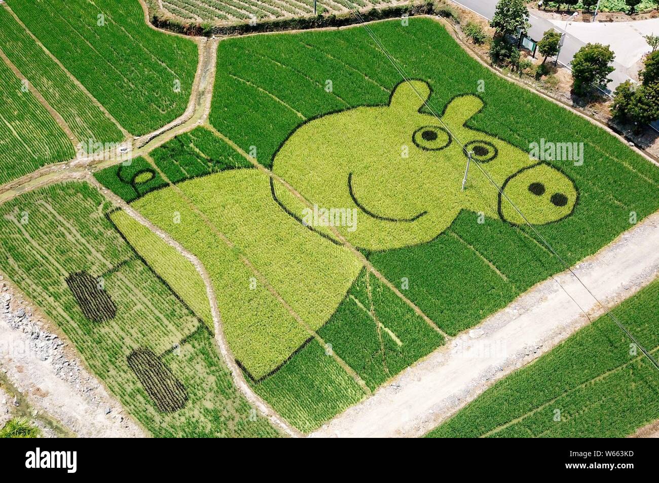 Eine Luftaufnahme von einer 3D-Reisfeld Malerei der Britischen Zeichentrickserie Solitärspiele auf Reisfeldern in Lantian Dorf, Stadt, Shexian Xitou cou Stockfoto