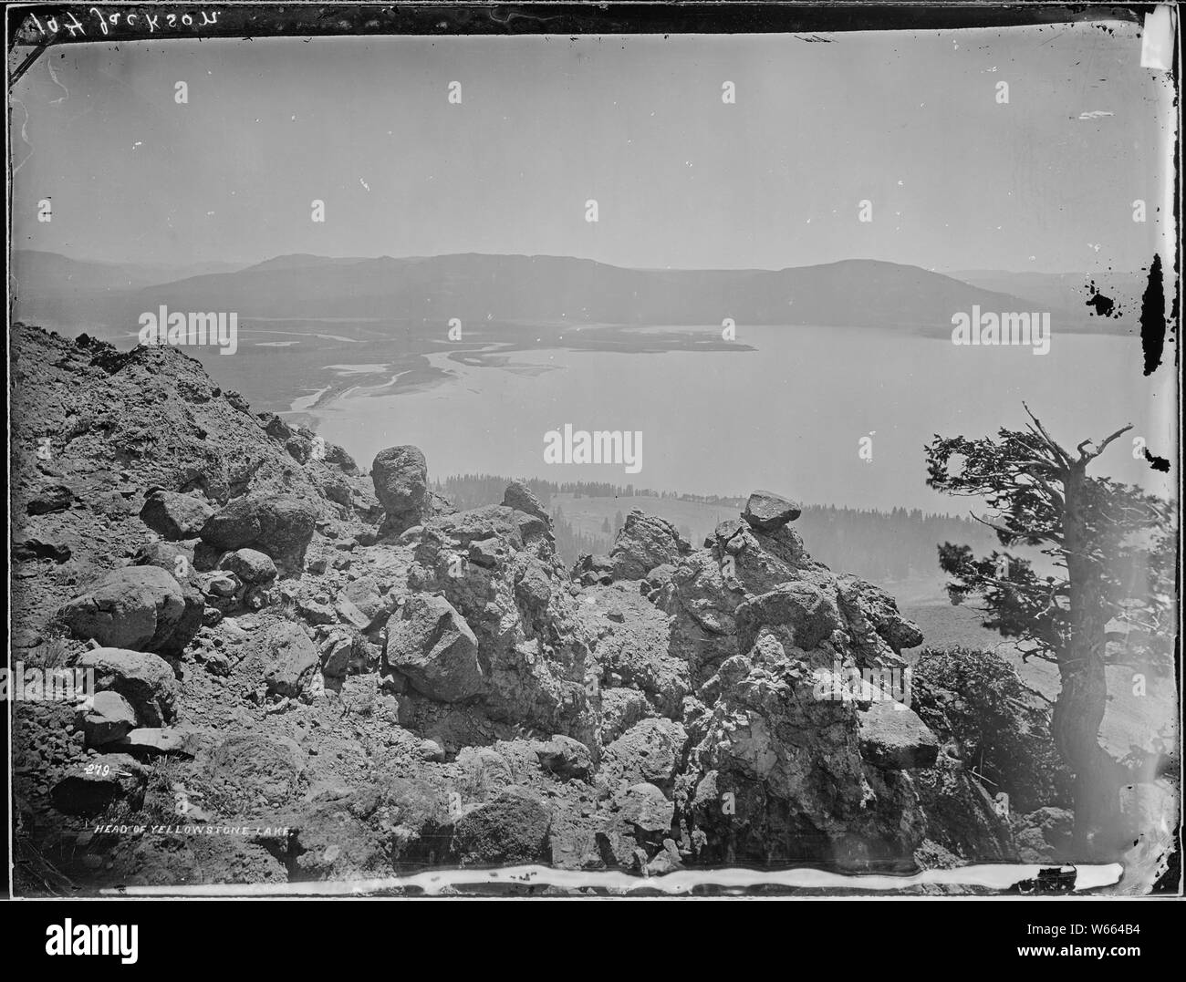 Leiter der Yellowstone Lake Stockfoto