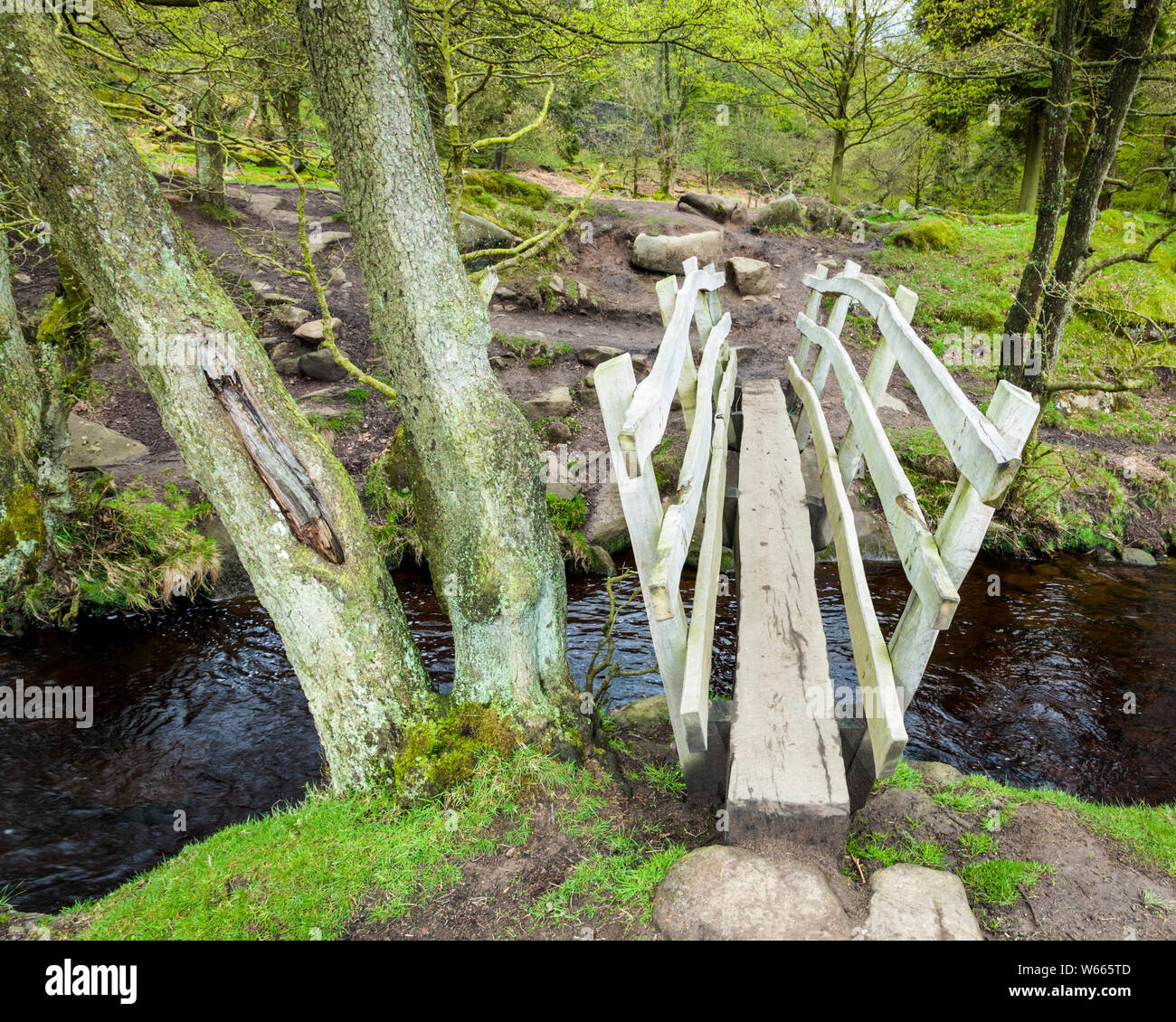 Eine schmale Holzbrücke. Die Fußgängerbrücke über Burbage Bach an der Spitze der Padley Schlucht, Derbyshire, Peak District National Park, England, Großbritannien Stockfoto