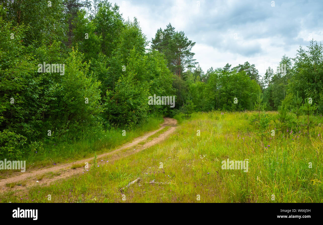 Landschaft Landschaft mit einem leeren Landstraße gehen im Sommer Wald unter bewölktem Himmel, natürliche Foto Hintergrund Stockfoto
