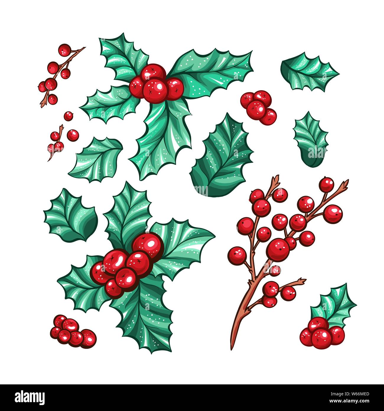 Weihnachten rote Beeren Kalifornien holly isoliert Vektor Pflanzen Sammlung für Weihnachten Geschenk Design. Marker Farbige botanische Zeichnungen. Stock Vektor
