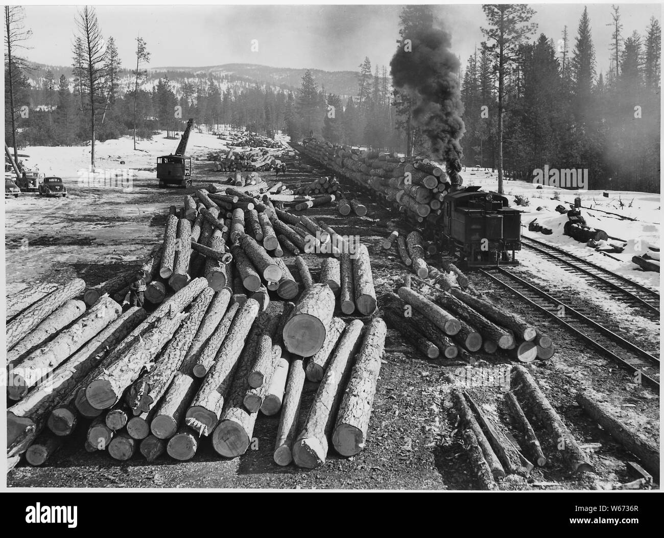 Geladen Zug auf der Schmalspurbahn von Biles Colemena Lumber Co. am grossen Landung auf dem alten Omak Creek Log. Anmelden Lokomotive war ein Getriebemotor Hyster. Logs wer zu dieser Landung; Lkw aus dem Mose Wiesenfläche des Moses Berg Einheit geliefert.; Umfang und Inhalt: Fotografische Berichte von Harold Weaver übersetzt veranschaulichen Waldbewirtschaftung auf Indian Reservation Wälder von Washington und Oregon, vor allem auf der Colville, wo Weber war Wald Supervisor, bevor er regionale Förster in 1960. Es gibt dort ein paar Fotos von Kalifornien und Montana und Berichte über wissenschaftliche Exkursionen. Stockfoto