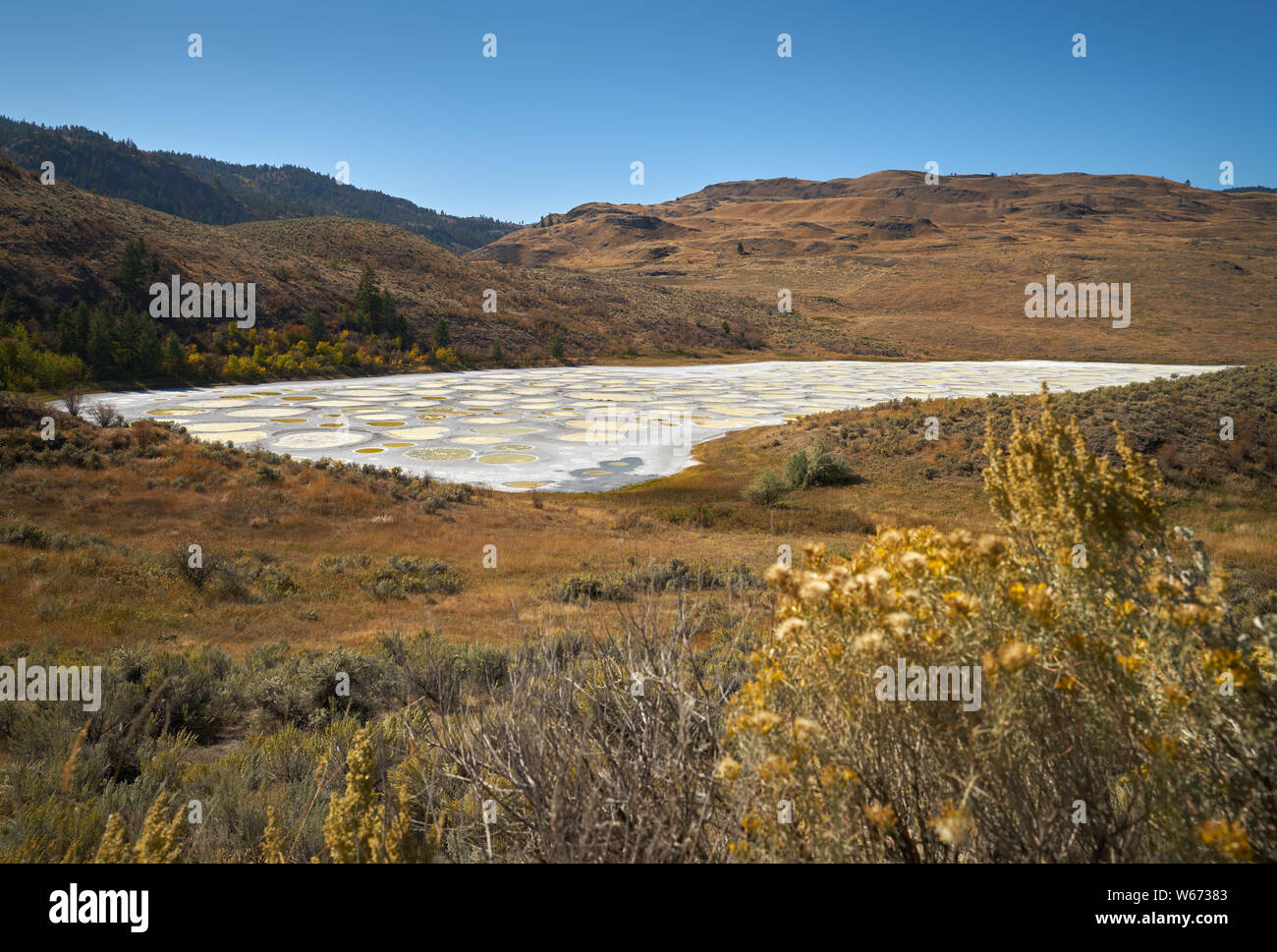 Lake Osoyoos Kanada entdeckt. Der gefleckte See in der Nähe von Osoyoos Kanada ist eine Kochsalzlösung Alkali Lake, dass die Kreise werden erstellt, wenn Sie im Sommer trocknet. Stockfoto