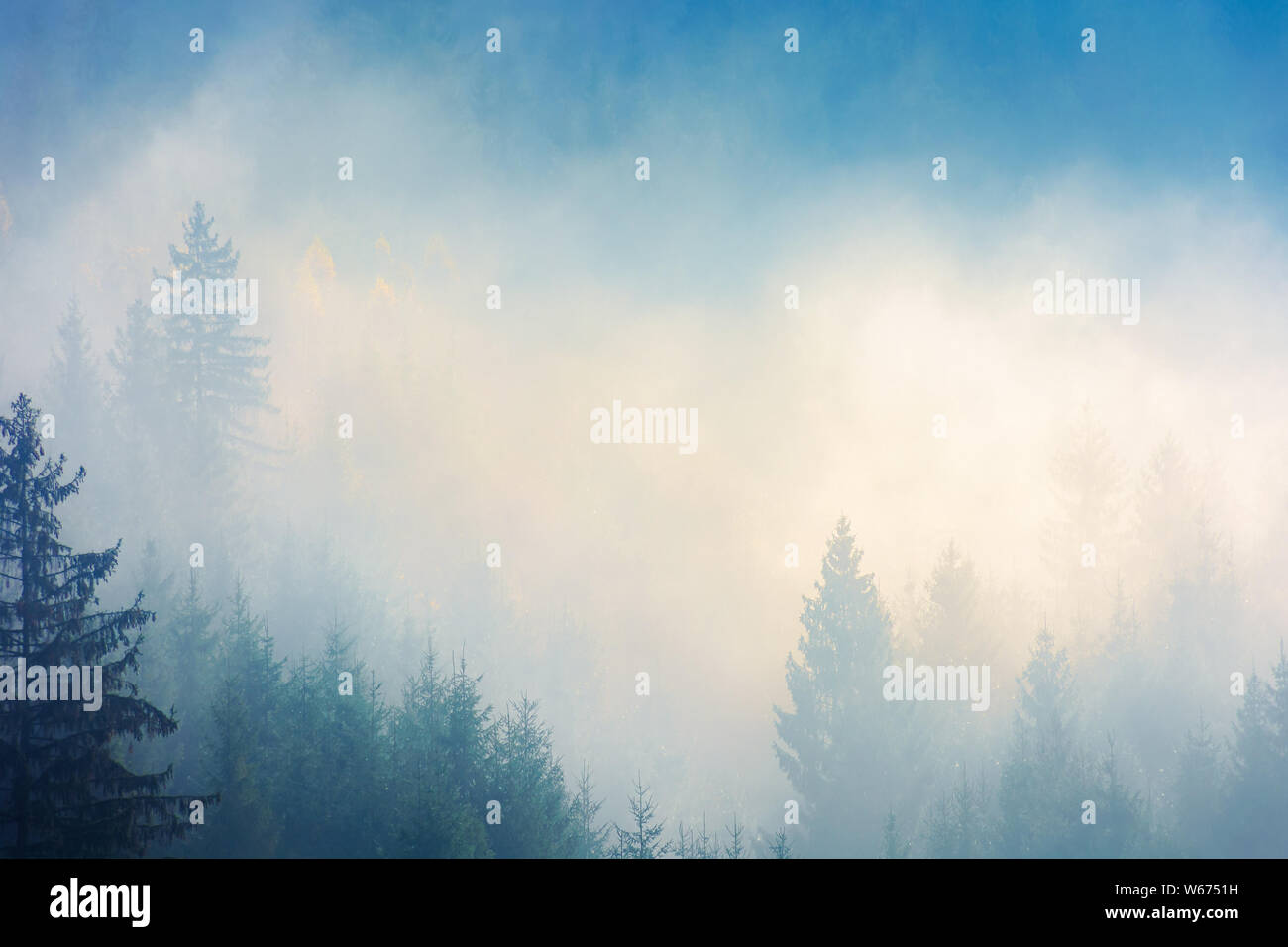 Nadelbäume im Nebel auf dem Hügel. Natur Phänomen in den kühlen Morgen. Super Herbst Hintergrund. Tiefe atmosphärischer Landschaften Yello Stockfoto