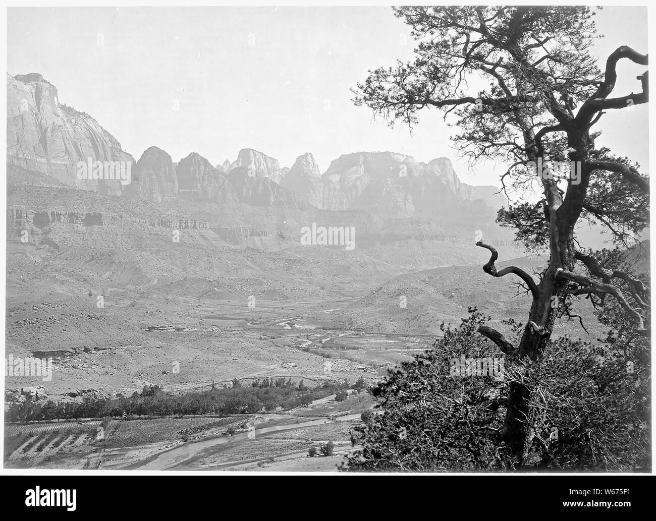 Ma-kun-zu-wip Valley, Utah (Zion National Park (West) - Tempel auf der linken Seite. Alte Nr. 103. Hillers (Foto/s/RT Evans). Dieses Foto zeigt Schwach 2 Wagen Wattiefe den Creek und ein Pferd, auf dem rechten Ufer in der Nähe des Zentrum von Foto. Bitte beachten Sie: Dieses ist keine grüne Nummer 80 aber ist vermutlich ein Glas negativ auf Datei. Es ist eine gute, klare schöne Foto und kann kopiert werden, wenn sie benötigt werden. Ein frühes Beispiel der Kontur der Landwirtschaft ist im Tal gezeigt., 1871 - 1878 Stockfoto