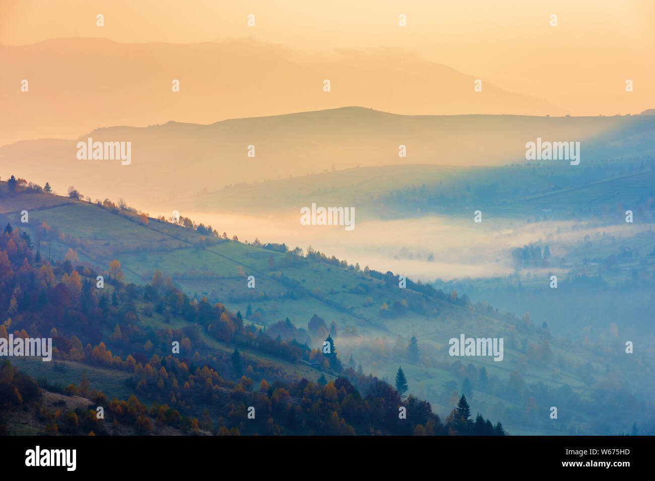 Schönen Herbst Sonnenaufgang in den Bergen. Dunst und Nebel im Tal. Bäume im Herbst Laub. wunderschöne Landschaft Landschaft Stockfoto