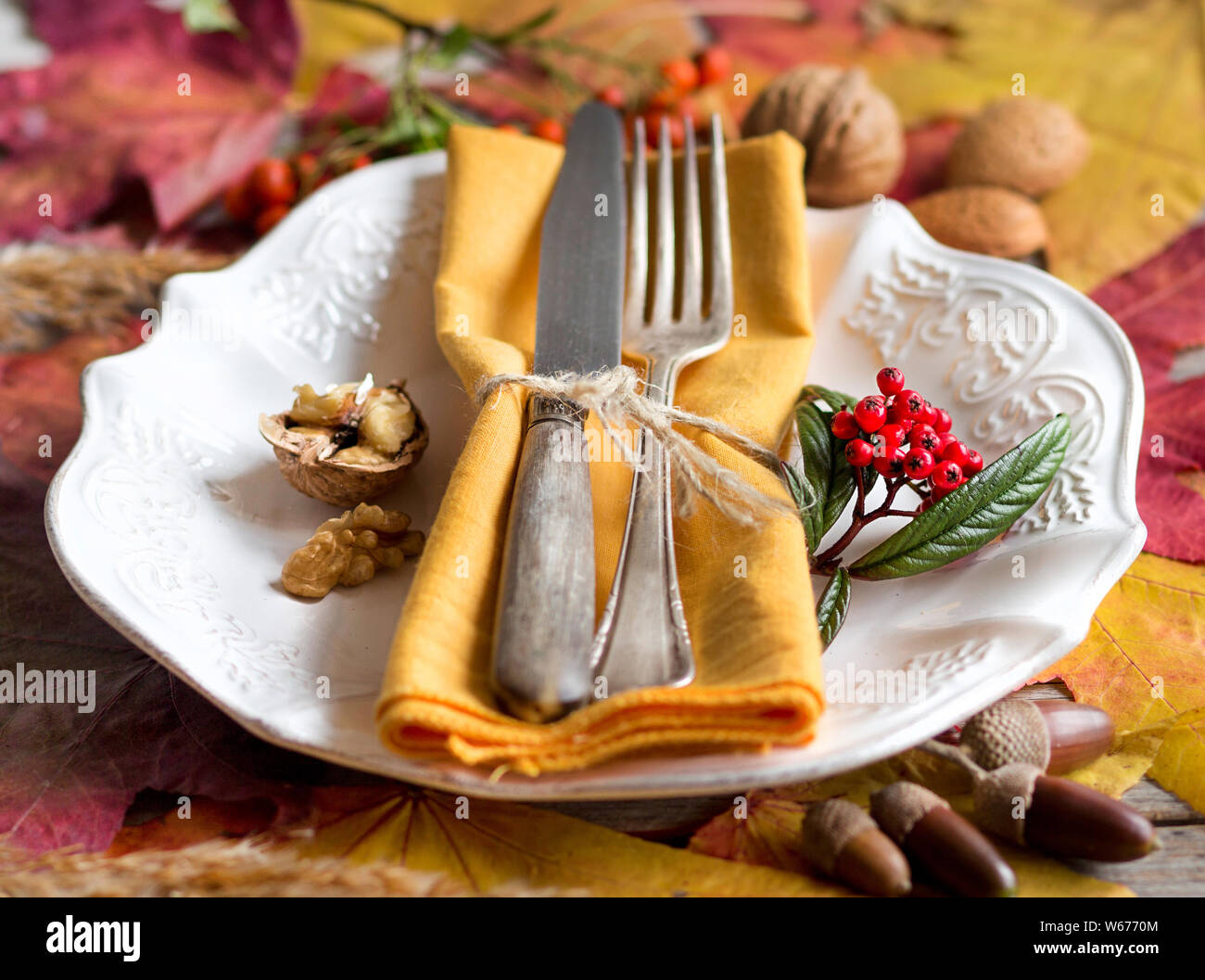 Herbst rustikal gedeckten Tisch mit Beeren, Blätter, Eicheln und Nüsse Stockfoto