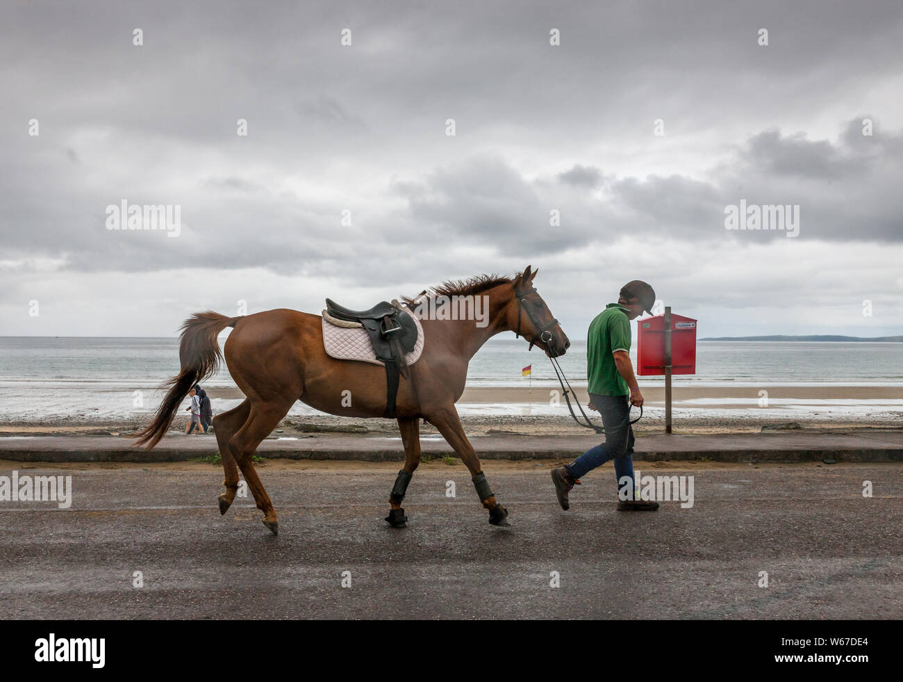 Garrettstown, Cork, Irland. Juli 31, 2019. Mann sein Pferd auf dem Rad in Garrettstown, Co Cork, Irland. Kredit; David Creedon/Alamy leben Nachrichten Stockfoto