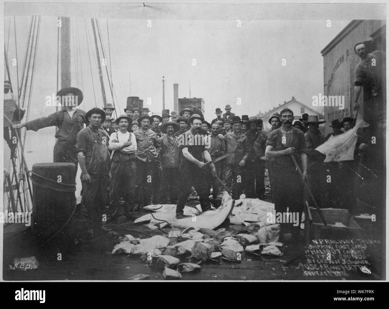 N. S. Bahn, Tacoma [Washington. Terr.] Versand erste Ladung der Heilbutt gefangen im Puget Sound durch die Crew der Schoner Oscar und Hattie. September 20, 1888. Von N. B. Miller. Stockfoto