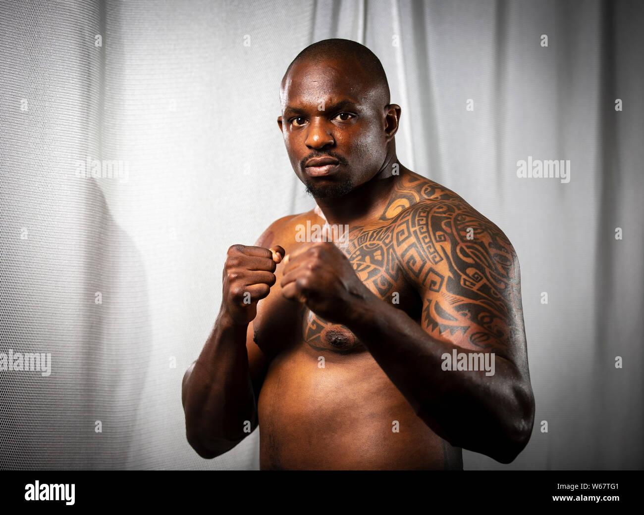 Portrait von Dillian Whyte, UK heavyweight Boxer Stockfoto