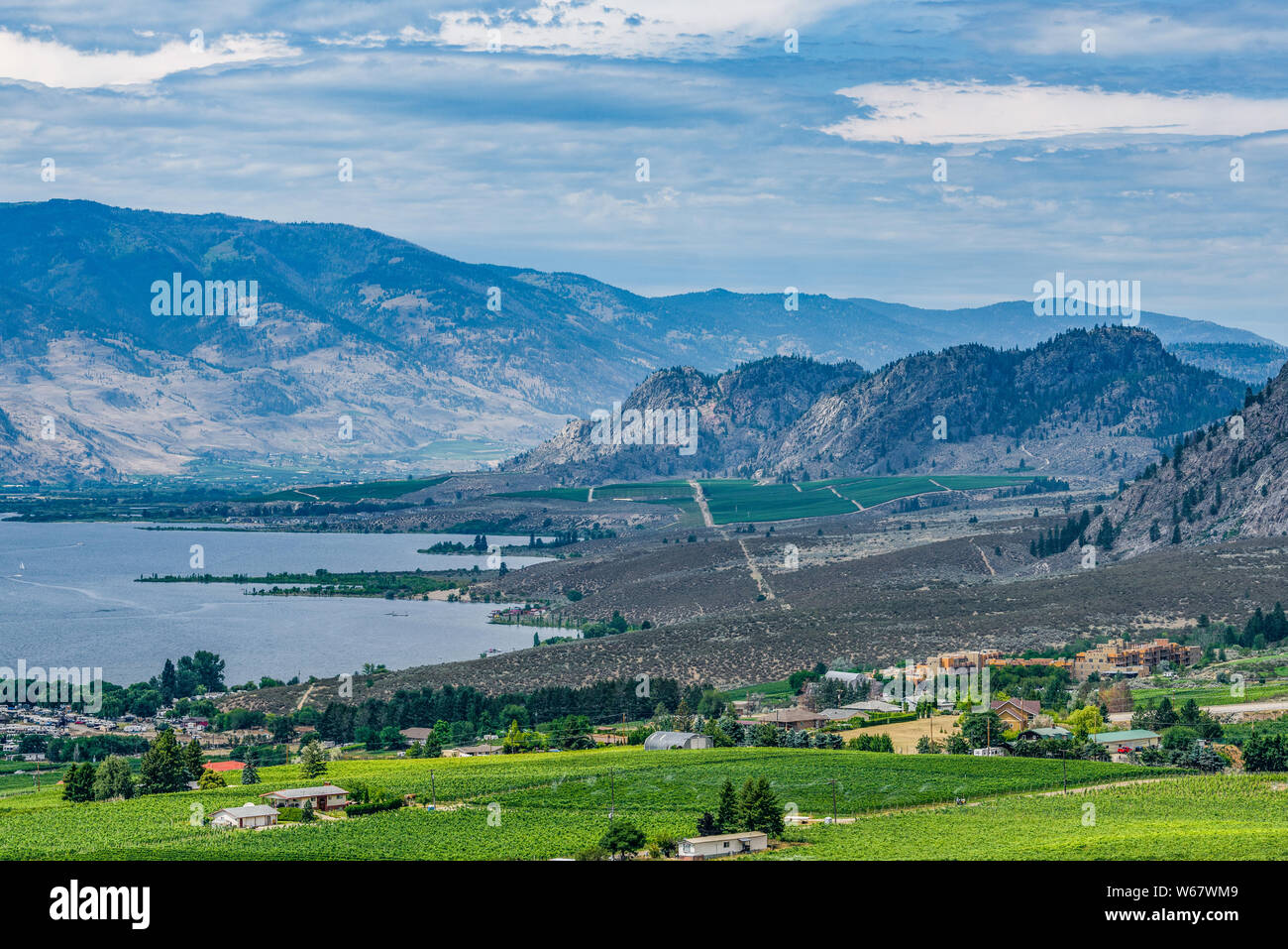Weinbau in Osoyoos, Okanagan Valley, britischen Columbia, Kanada Stockfoto