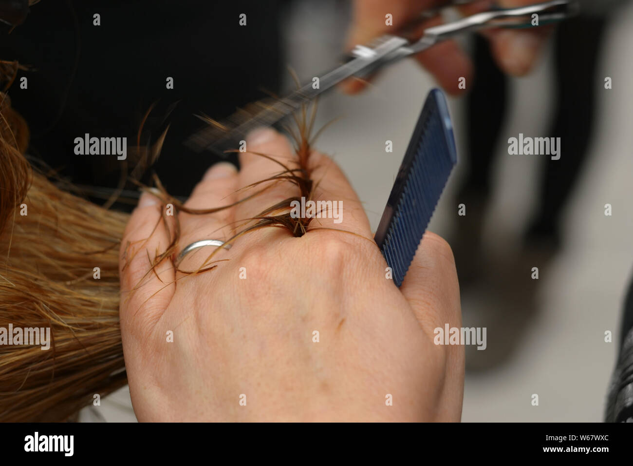 Friseur mit Schere und Kamm in der Hand, die Haare schneiden ist Stockfoto