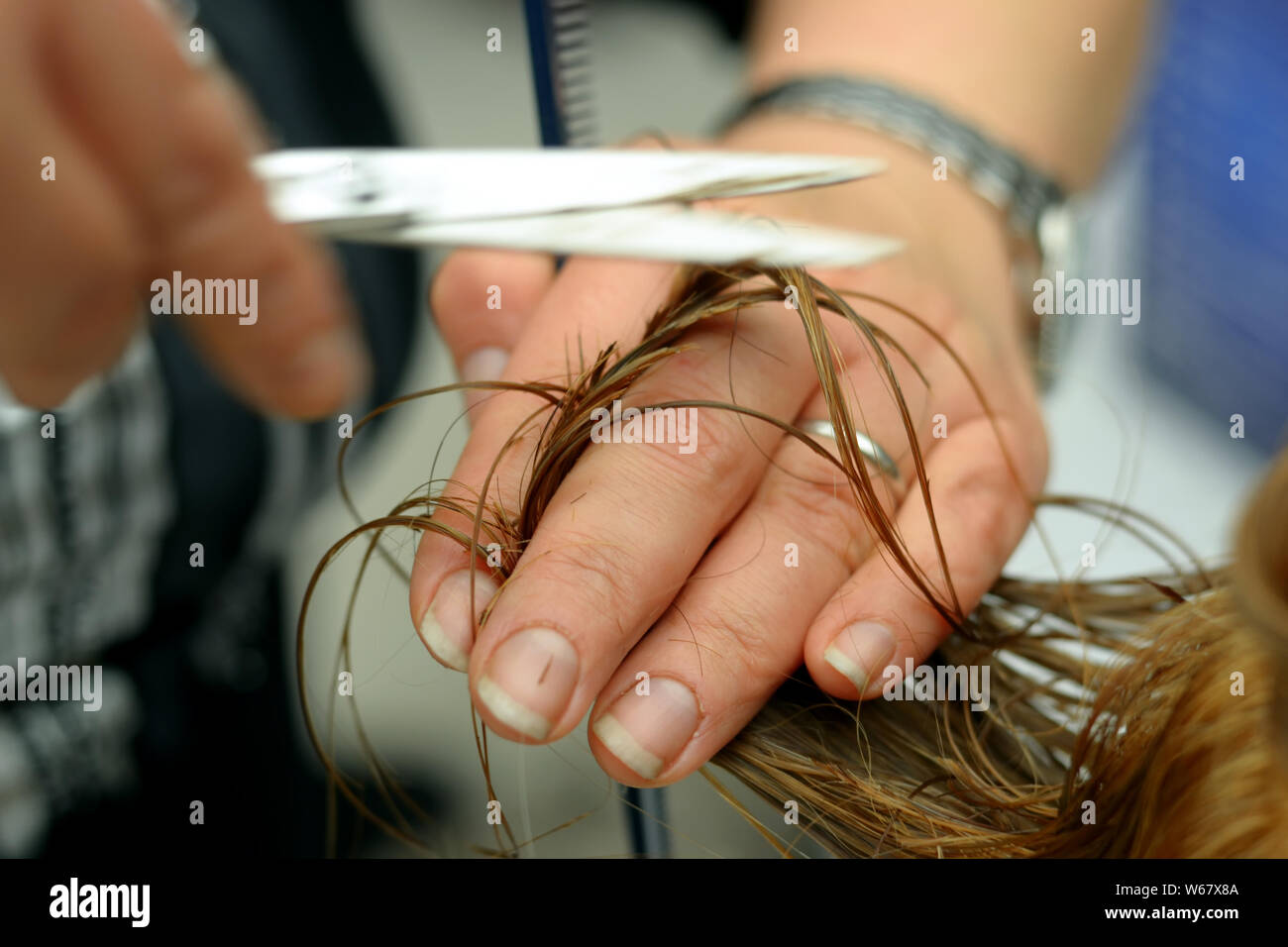 Friseur mit Schere und Kamm in der Hand, die Haare schneiden ist Stockfoto