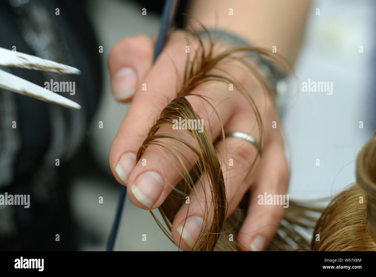 Friseur mit Schere und Kamm in der Hand, die Haare schneiden ist Stockfoto