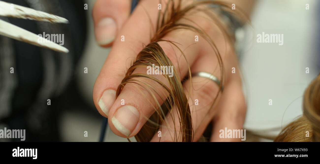 Friseur mit Schere und Kamm in der Hand, die Haare schneiden ist Stockfoto