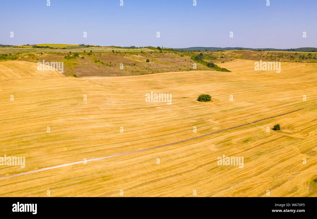 Industrielle Landschaft mit einem Feld nach der Ernte von Weizen. Antenne drone Ansicht Stockfoto