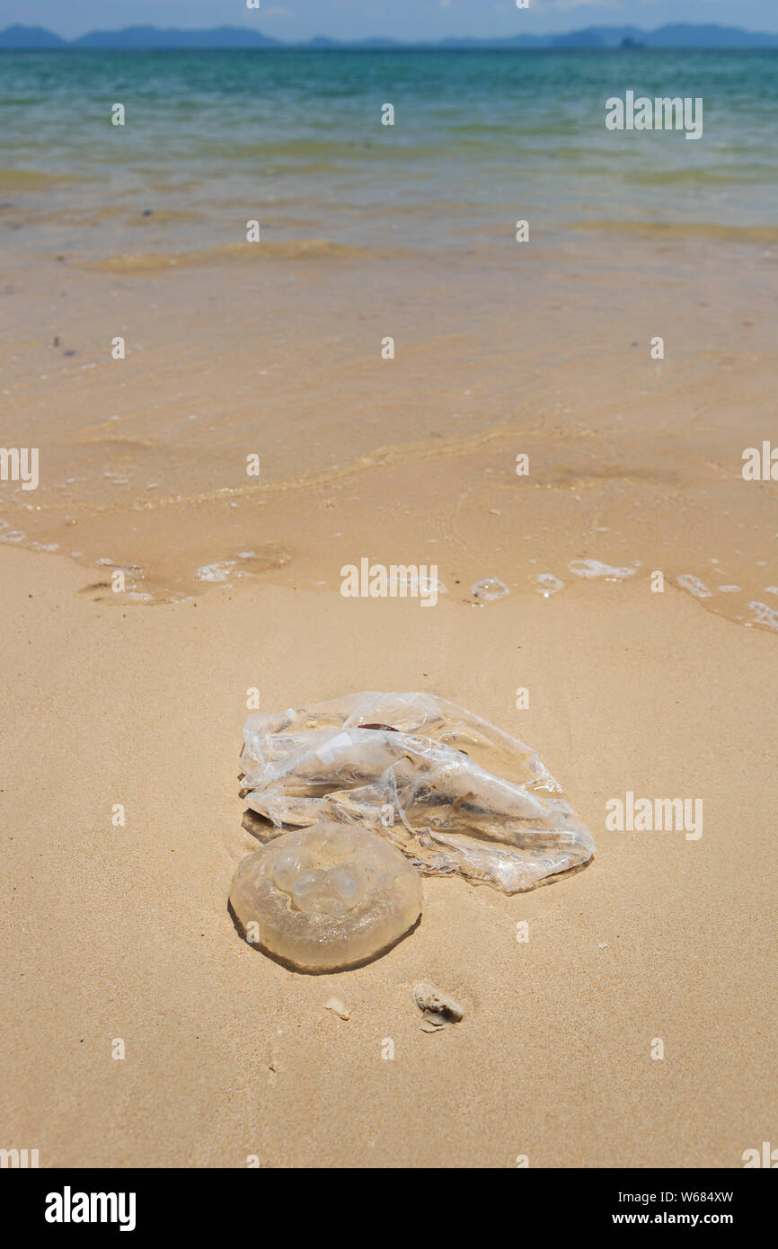Eine Plastiktüte und eine Qualle gewaschen an einem thailändischen Strand, Krabi, Thailand. Umweltverschmutzung durch Plastiktüten. Stockfoto